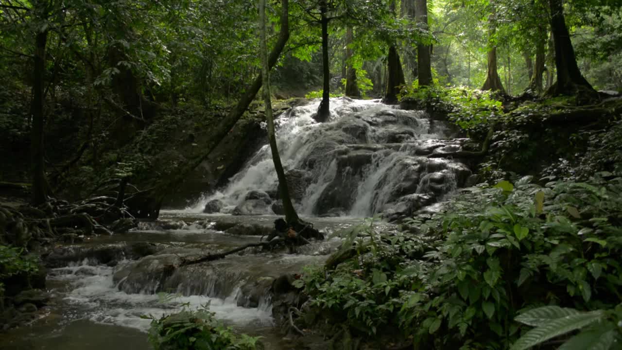 美丽宁静的风景瀑布流过岩石之间郁郁葱葱的植物在夏天的早晨在雨林。奇妙的丛林之旅。视频素材