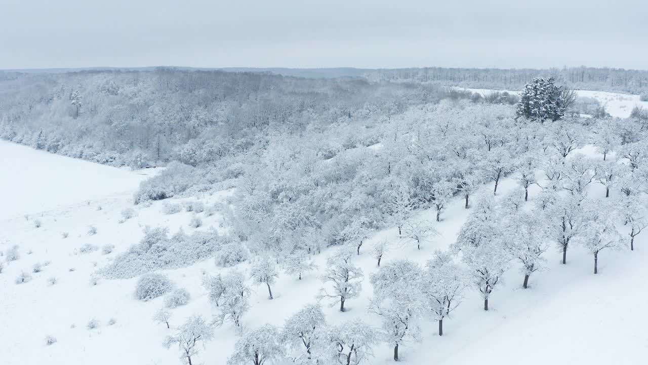 鸟瞰图的积雪覆盖了冬季景观的树木(果园草甸)，森林和草地。弗朗哥尼亚，巴伐利亚，德国，欧洲。视频素材