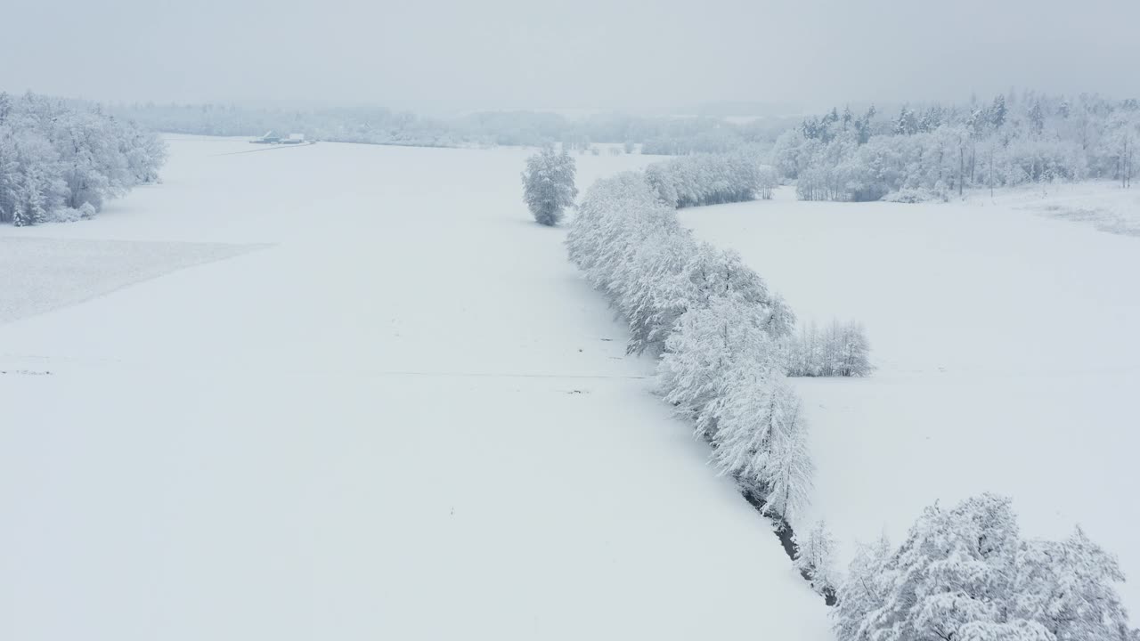 鸟瞰图积雪覆盖了树木和草地的冬季景观。弗朗哥尼亚，巴伐利亚，德国，欧洲。视频素材