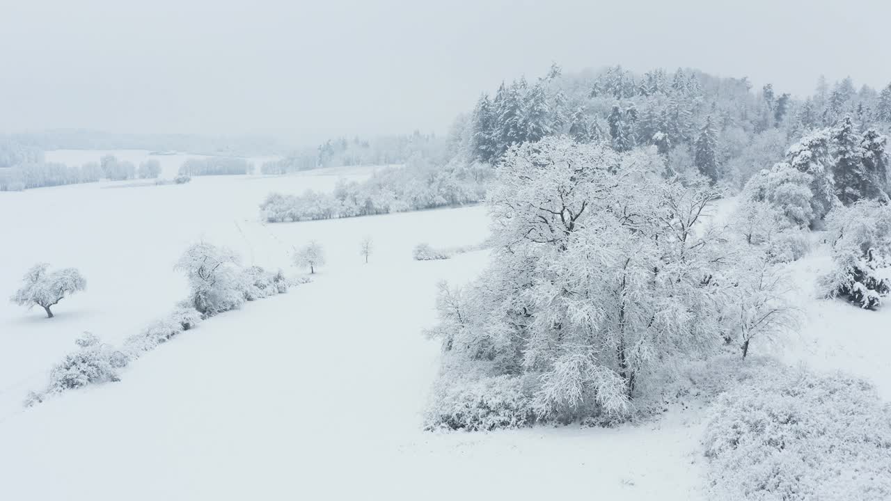 鸟瞰图积雪覆盖了树木和草地的冬季景观。弗朗哥尼亚，巴伐利亚，德国，欧洲。视频素材