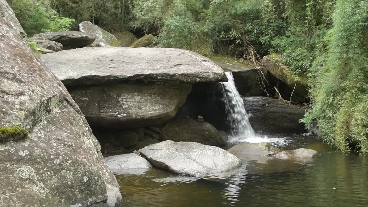 还有水牛比尔吉姆视频下载