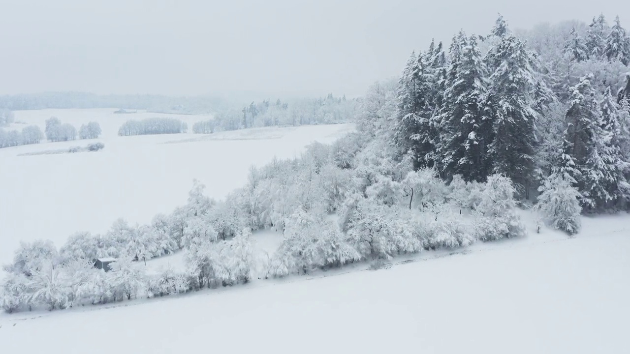 鸟瞰图积雪覆盖了树木和草地的冬季景观。弗朗哥尼亚，巴伐利亚，德国，欧洲。视频素材