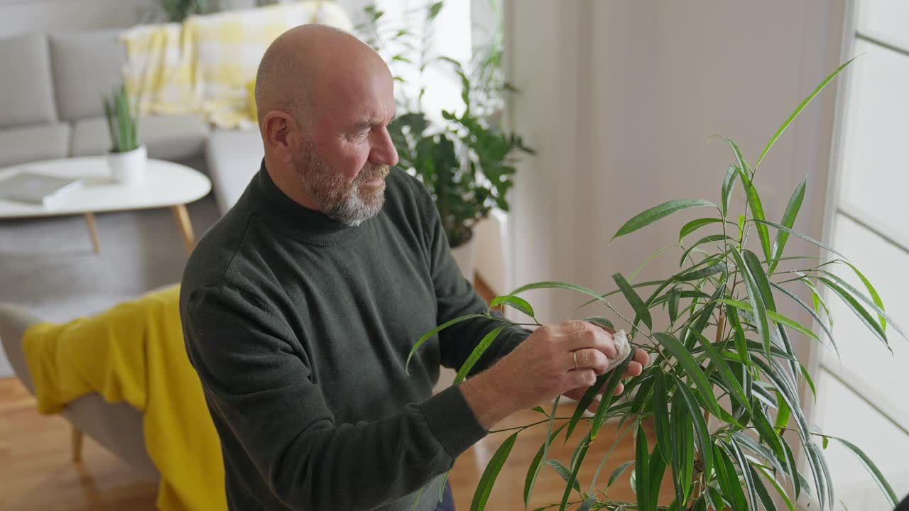 成熟的男人在培育他的植物视频素材