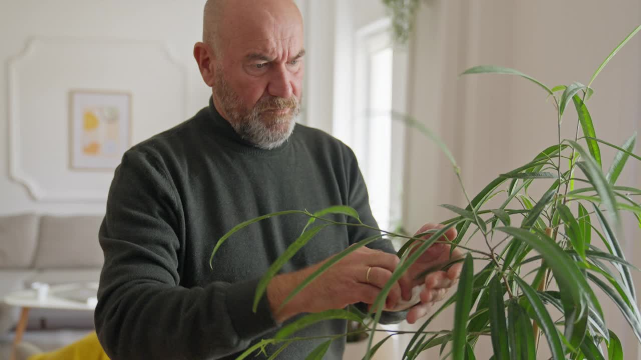 成熟的男人在培育他的植物视频素材