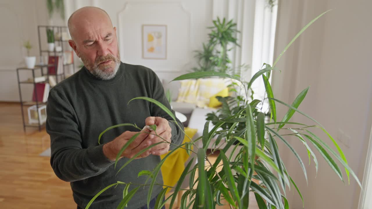 成熟的男人在培育他的植物视频素材