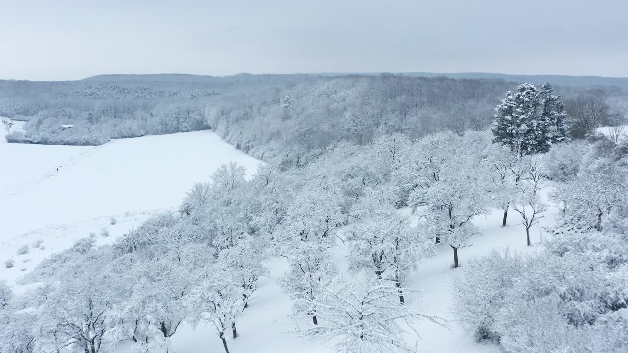 鸟瞰图的积雪覆盖了冬季景观的树木(果园草甸)，森林和草地。弗朗哥尼亚，巴伐利亚，德国，欧洲。视频素材