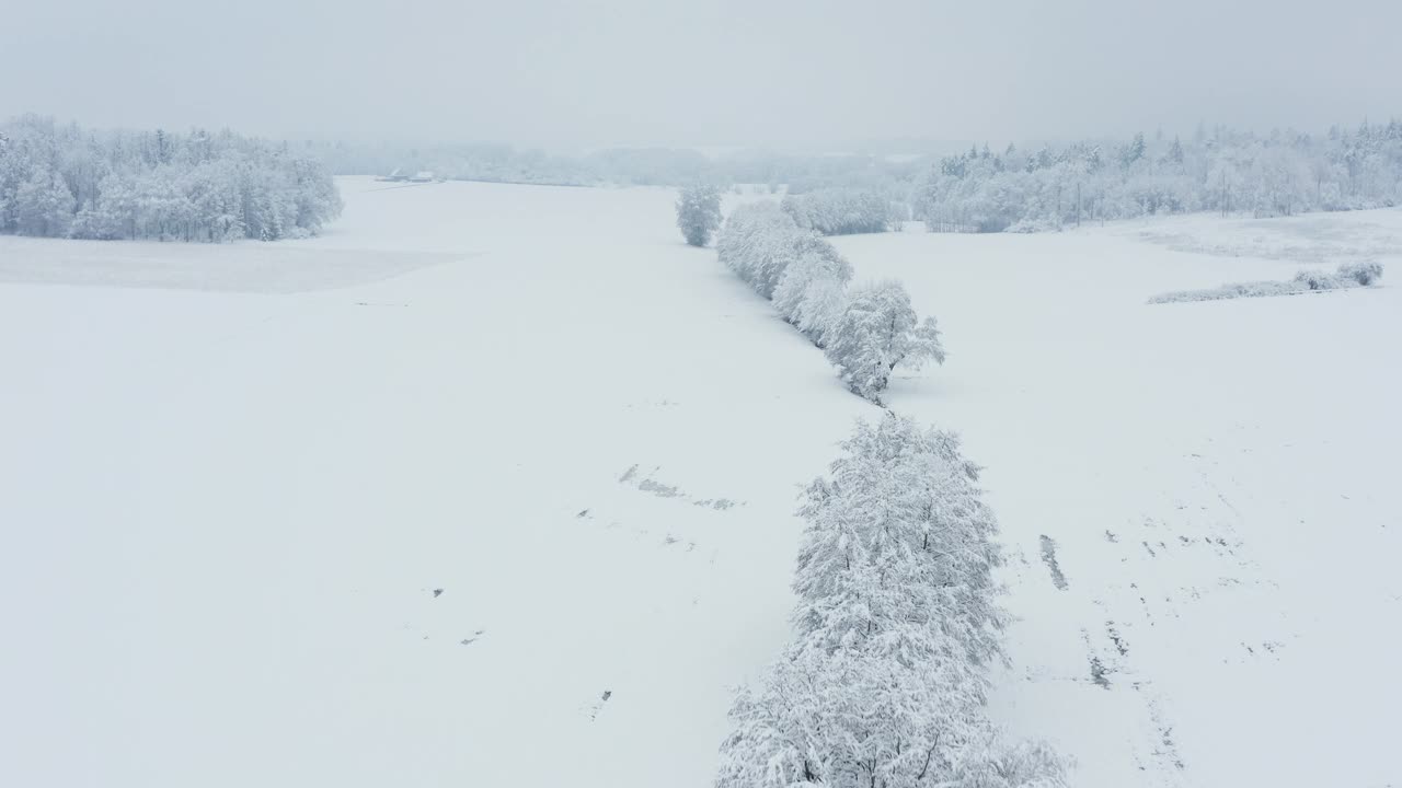 鸟瞰图积雪覆盖了树木和草地的冬季景观。弗朗哥尼亚，巴伐利亚，德国，欧洲。视频素材