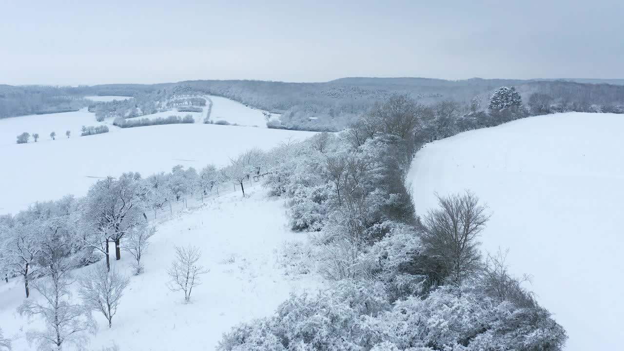 鸟瞰图的积雪覆盖了冬季景观的树木(果园草甸)，森林和草地。弗朗哥尼亚，巴伐利亚，德国，欧洲。视频素材