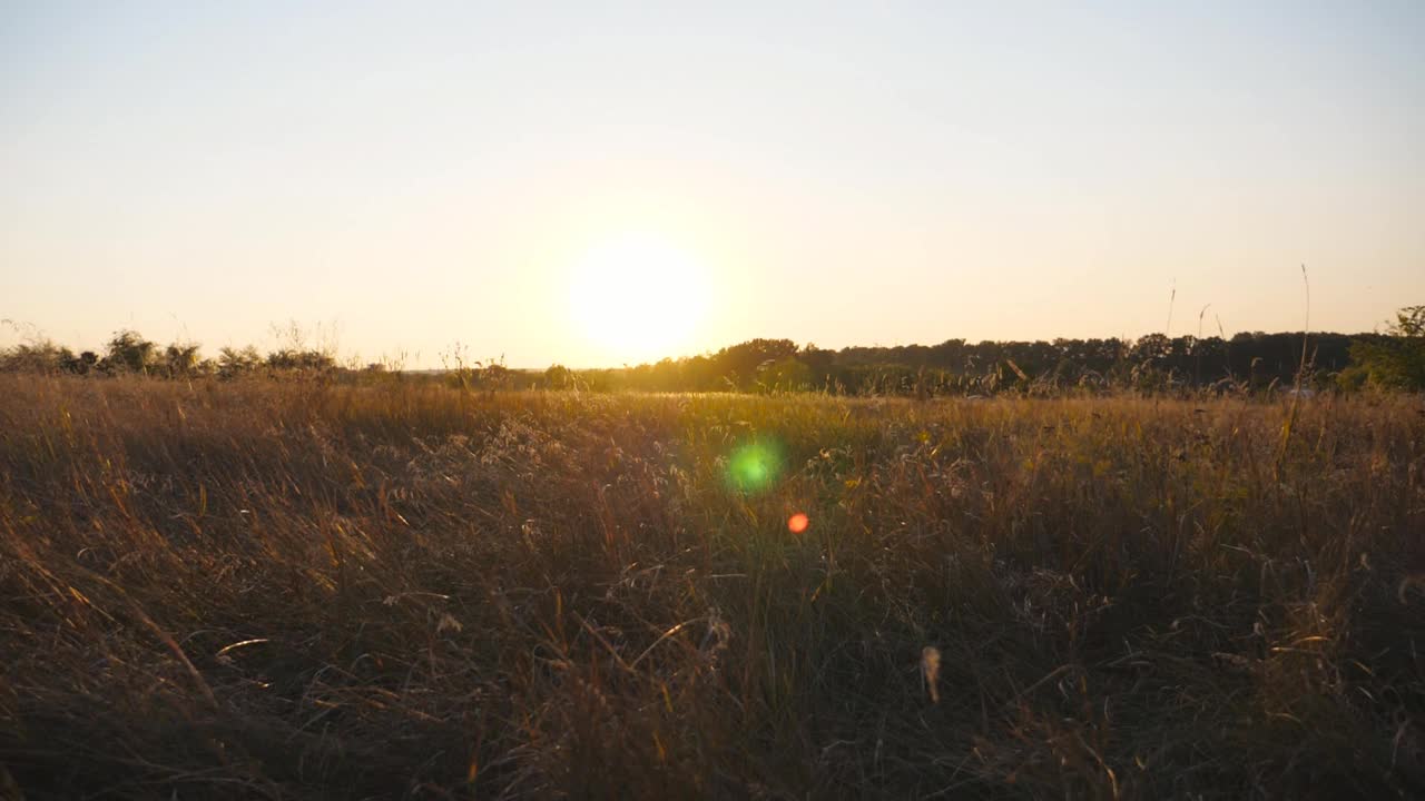 后视图快乐的人慢跑通过草地与日落的背景。在夏日草地上奔跑的年轻人。男性在美丽的大自然中享受休息。自由自在的概念。近距离视频素材