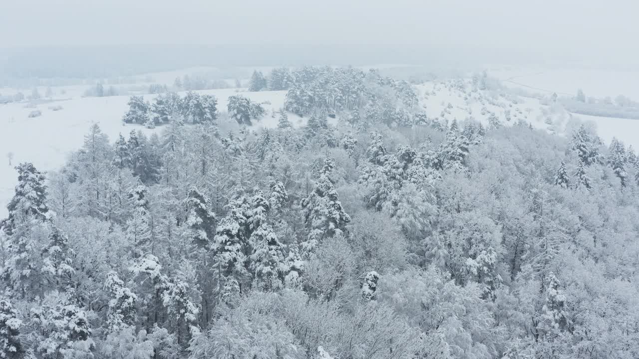 鸟瞰图积雪覆盖了树木和草地的冬季景观。弗朗哥尼亚，巴伐利亚，德国，欧洲。视频素材