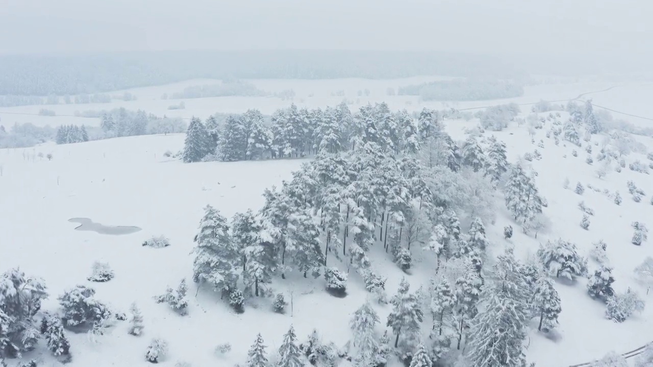 鸟瞰图积雪覆盖了树木和草地的冬季景观。弗朗哥尼亚，巴伐利亚，德国，欧洲。视频素材