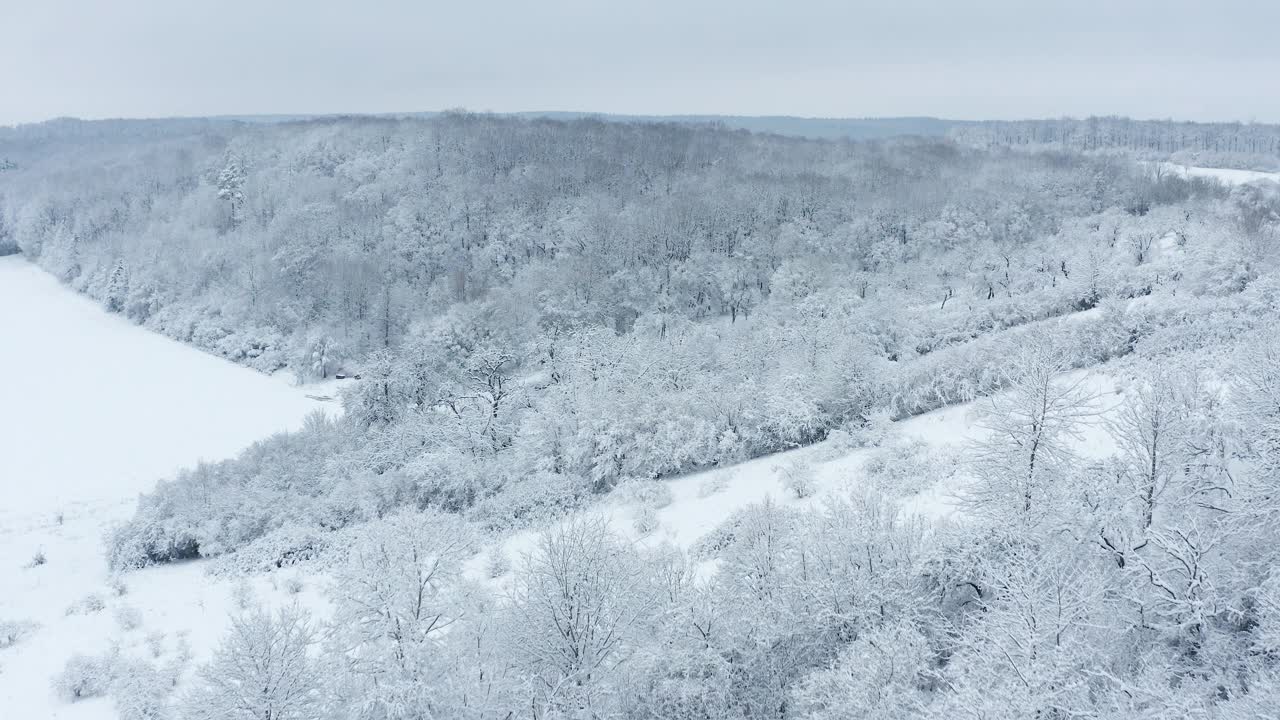 鸟瞰图的积雪覆盖了冬季景观的树木(果园草甸)，森林和草地。弗朗哥尼亚，巴伐利亚，德国，欧洲。视频素材