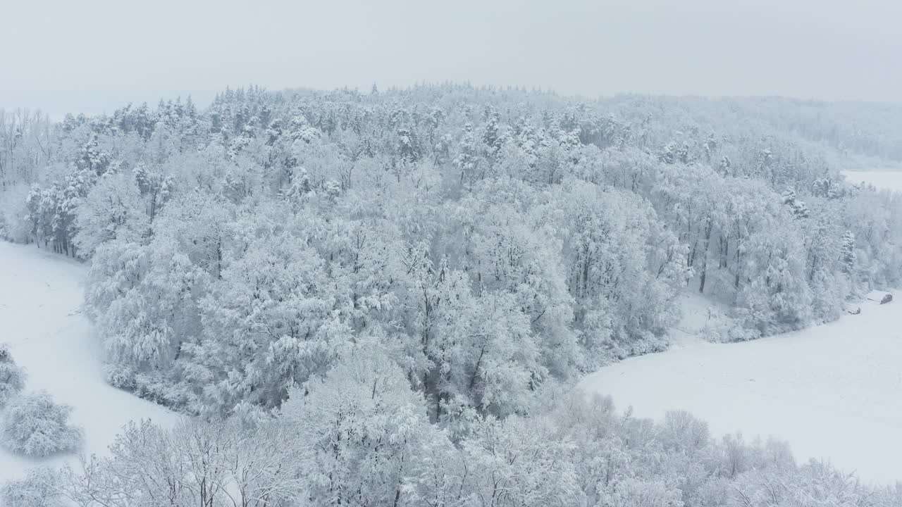 飞越森林里被雪覆盖的树木。Frankenhöhe，巴伐利亚，德国。视频素材