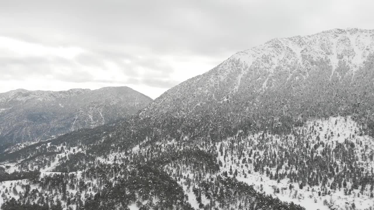 雪的风景视频素材