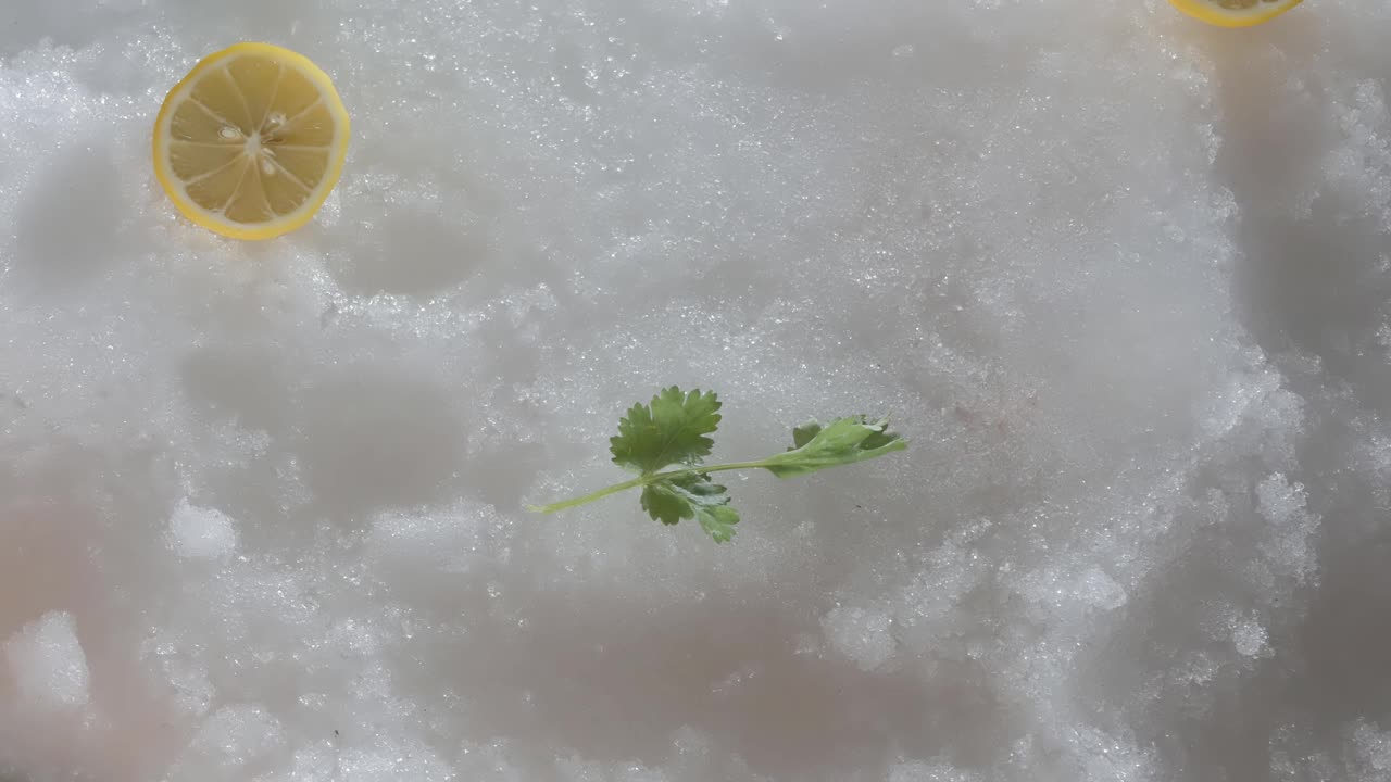 在一家商店里，店员的手把新鲜的生剑鱼放在雪景上。它旁边有一个柠檬。前视图。特写,镜头的运动。视频素材