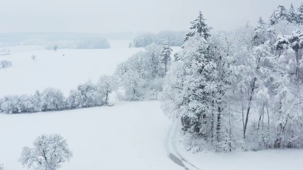 鸟瞰图积雪覆盖了树木和草地的冬季景观。弗朗哥尼亚，巴伐利亚，德国，欧洲。视频素材