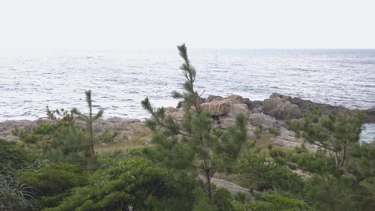 日本岛根县出云市有风的日御崎海岸和日本海视频素材