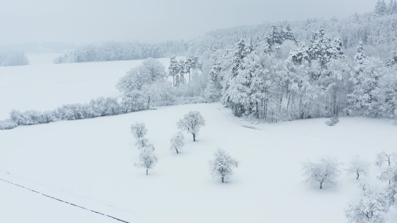 鸟瞰图积雪覆盖了树木和草地的冬季景观。弗朗哥尼亚，巴伐利亚，德国，欧洲。视频素材