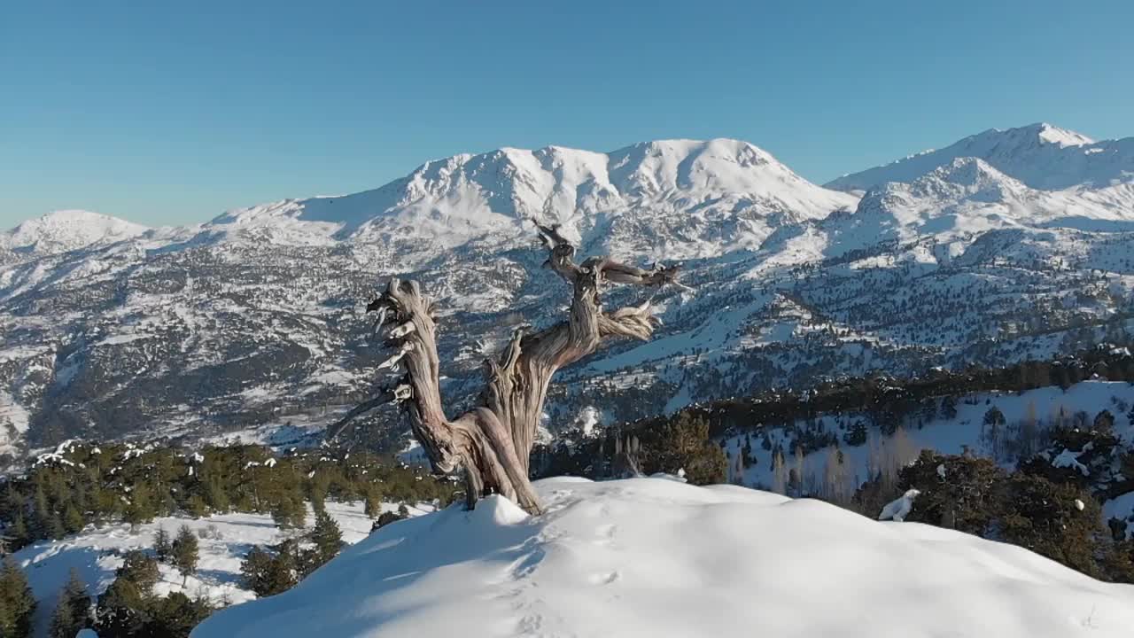 雪的风景视频素材