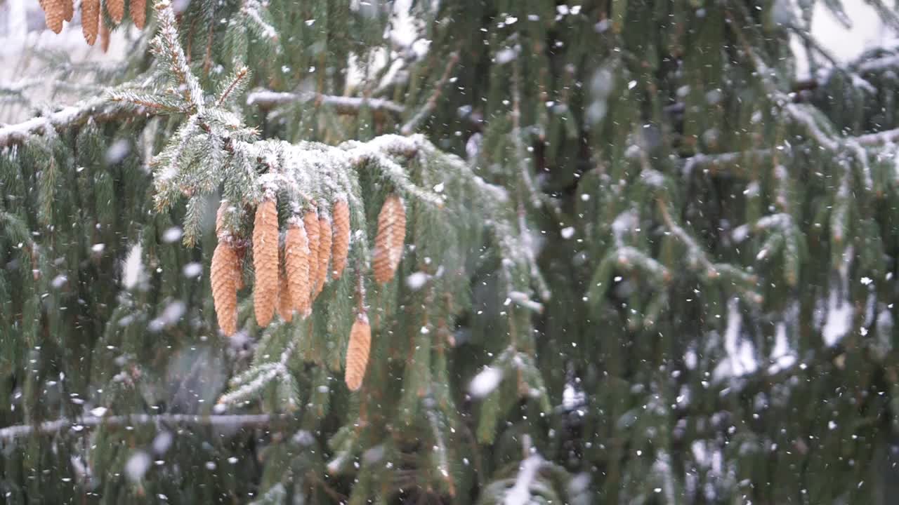 冬天下雪，180帧/秒视频素材