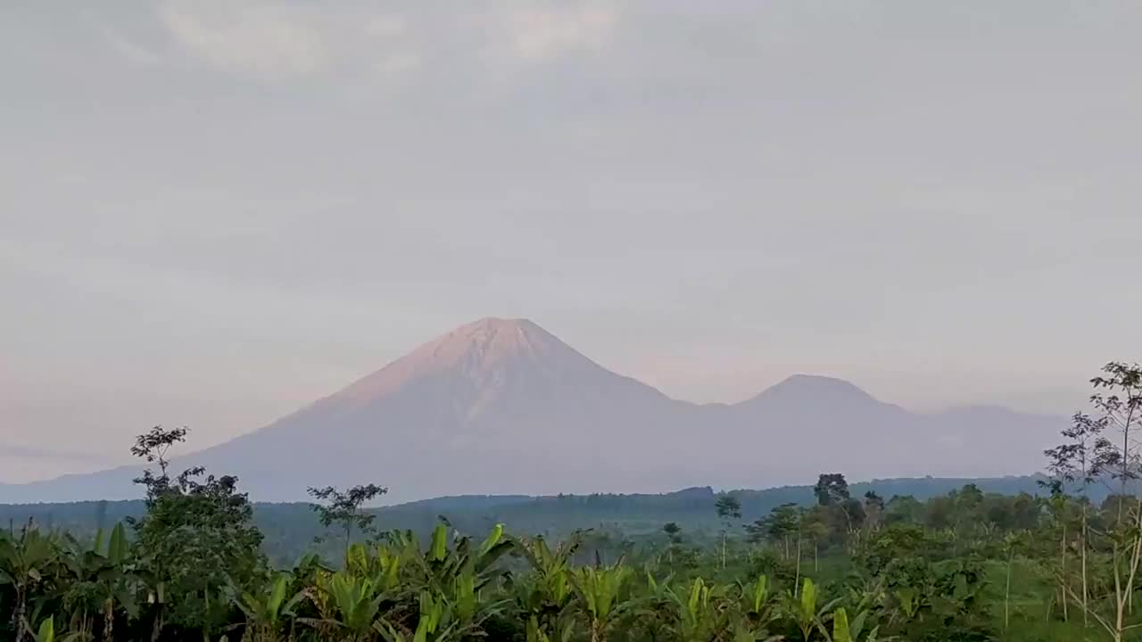 塞梅鲁山和美丽的树木在山谷视频素材