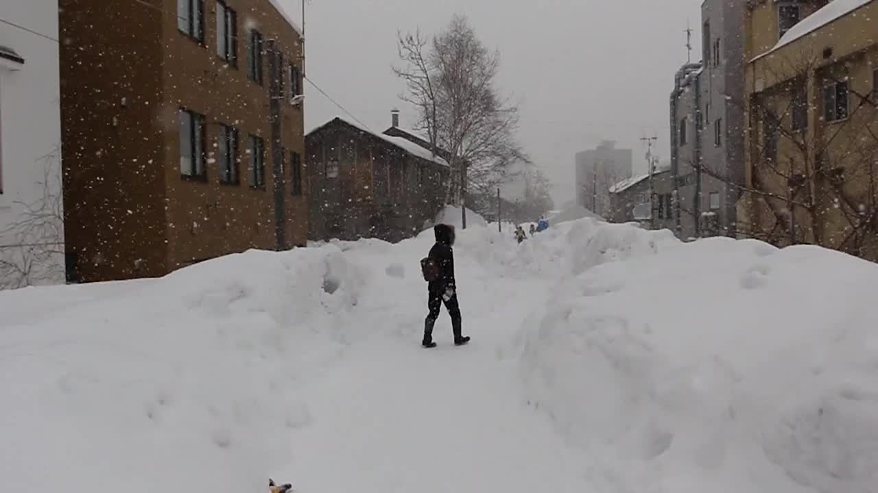 日本小樽雪灯节花灯，地点在日本北海道小樽。视频素材