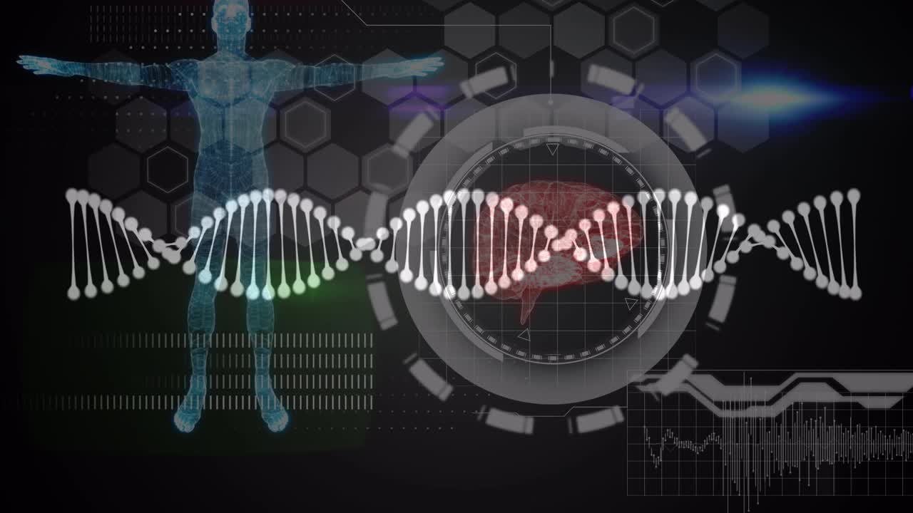 dna链的动画数据处理和数字人类视频素材