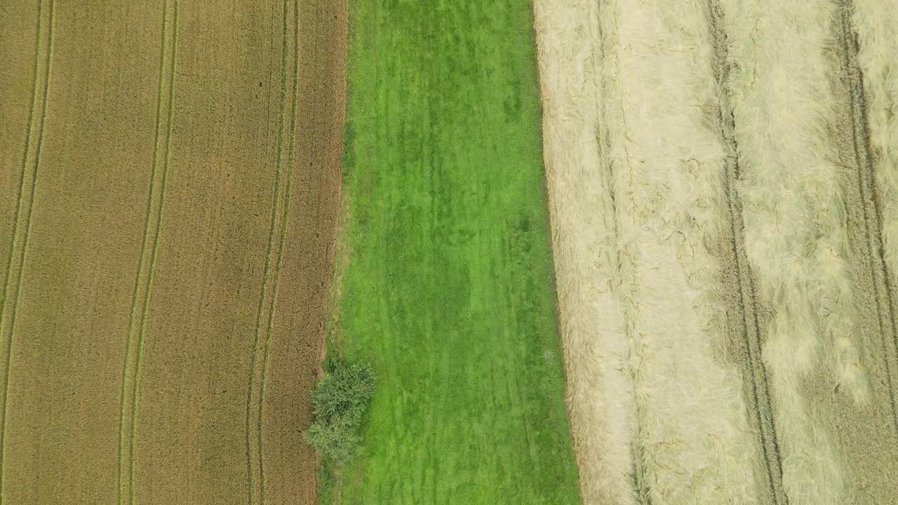 无人机拍摄分裂谷地，草地，麦田视频素材