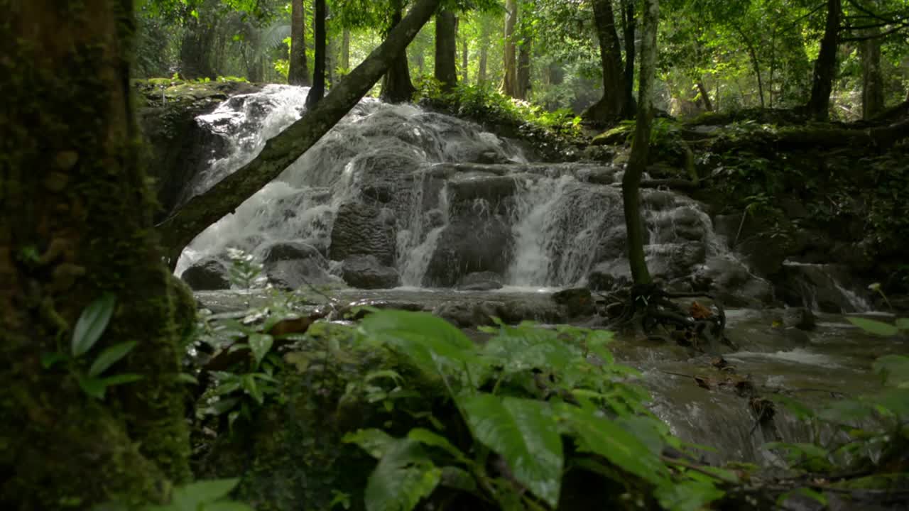 瀑布的美丽景色，水流过岩石山坡，穿过郁郁葱葱的树叶森林，在树荫下。漫步在绿树成荫的森林中，丛林中隐藏着美丽的瀑布。视频素材