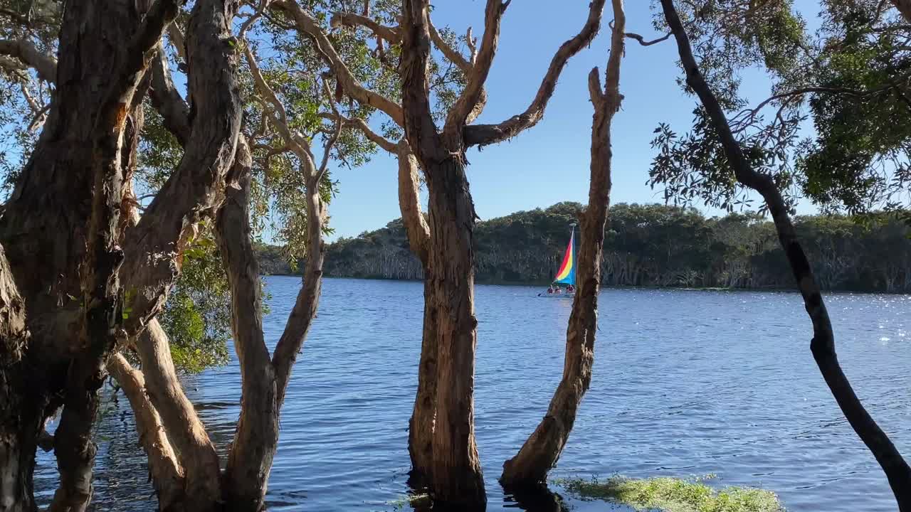 在茶树间的湖畔航行视频素材