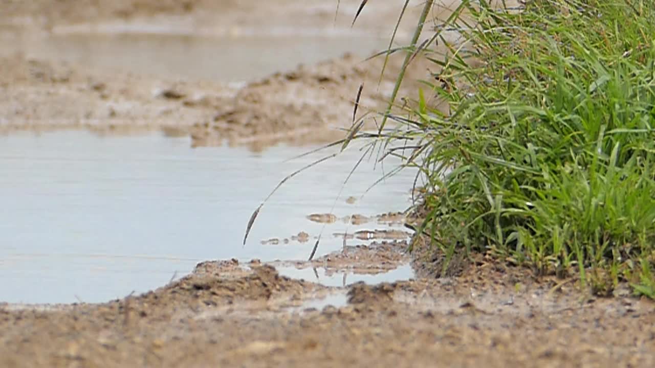 在大雨后的砾石路上行驶缓慢。视频素材