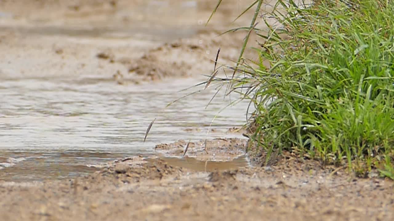 在大雨后的砾石路上行驶缓慢。视频素材