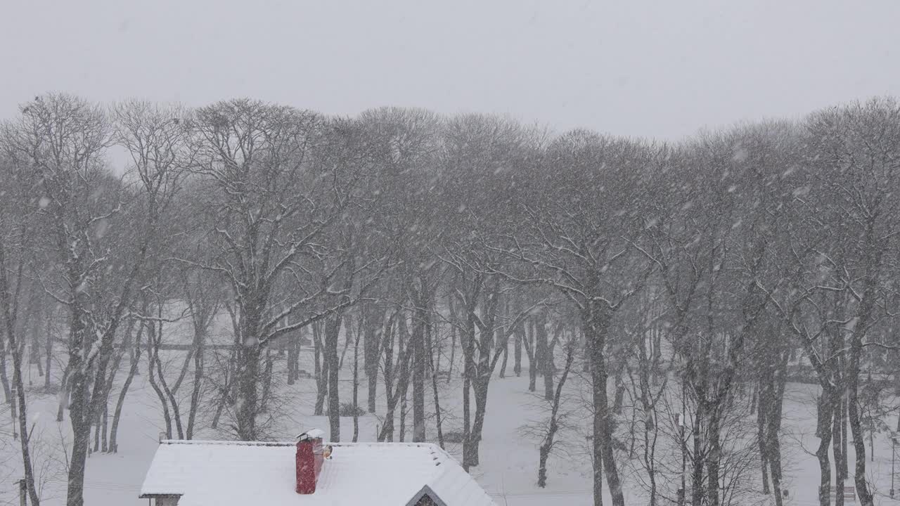 冬天下雪时，公园附近的屋顶被雪覆盖视频素材