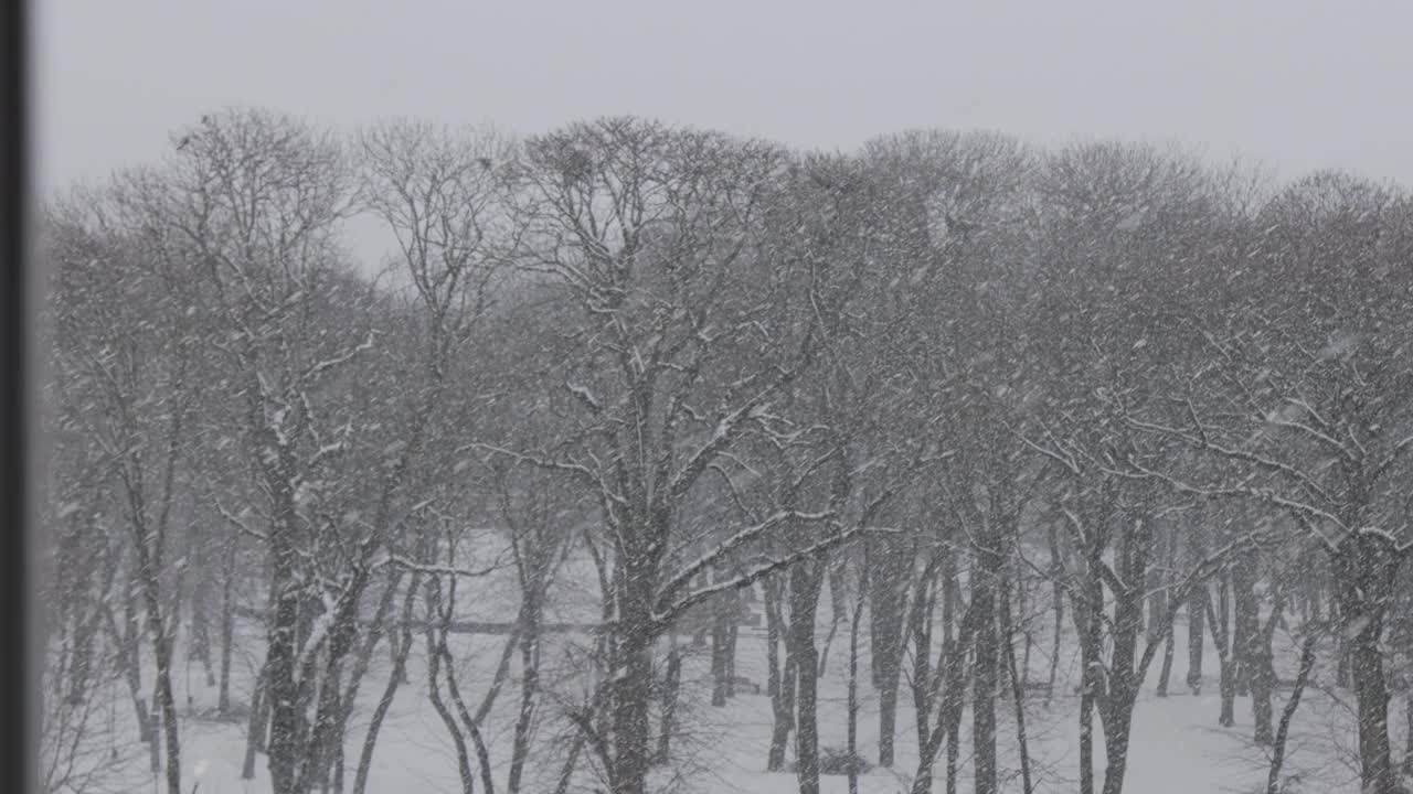 气象学，降水类型。表的雪。在初冬和早春，大雪(雪阵雨)，夹杂着雪和雨(雨夹雪、小雪)视频素材