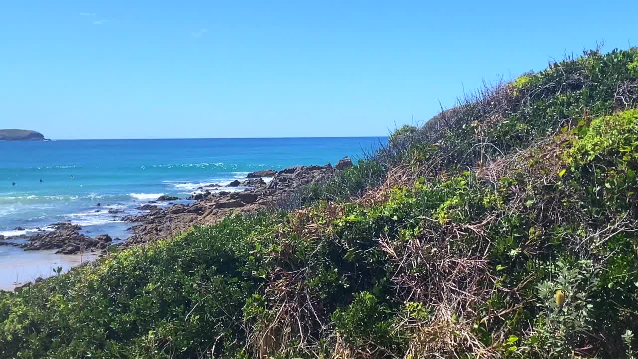 从海岬树叶海滩视图视频素材