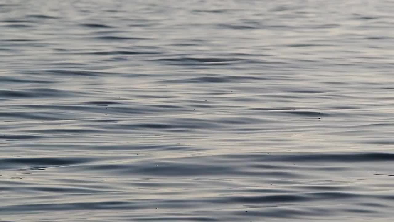 海浪在海水的背景。水面的浪花，映衬着美丽的空间去复制。环境问题，缺乏饮用水，干旱，全球变暖视频素材