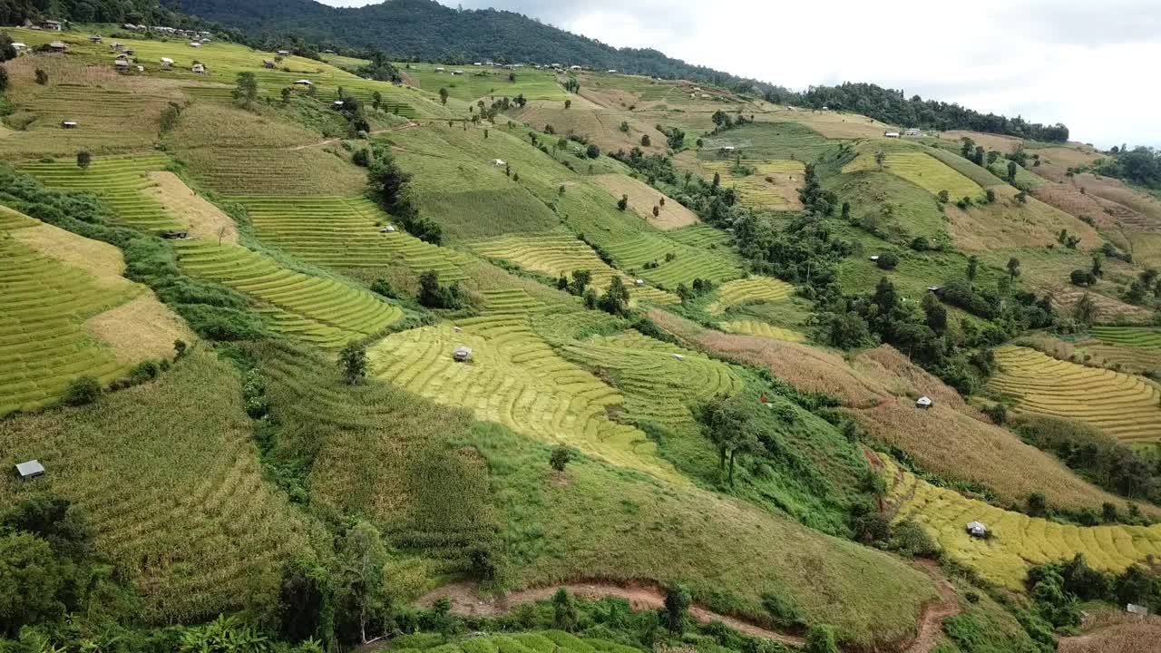 泰国清迈省Ban Pa Pong Piang梯田鸟瞰图。视频素材