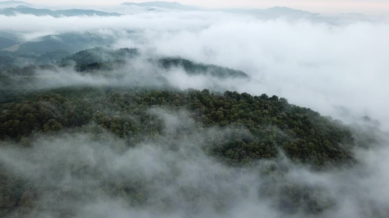 泰国北部地区冬季浓雾笼罩的美丽山景。视频素材