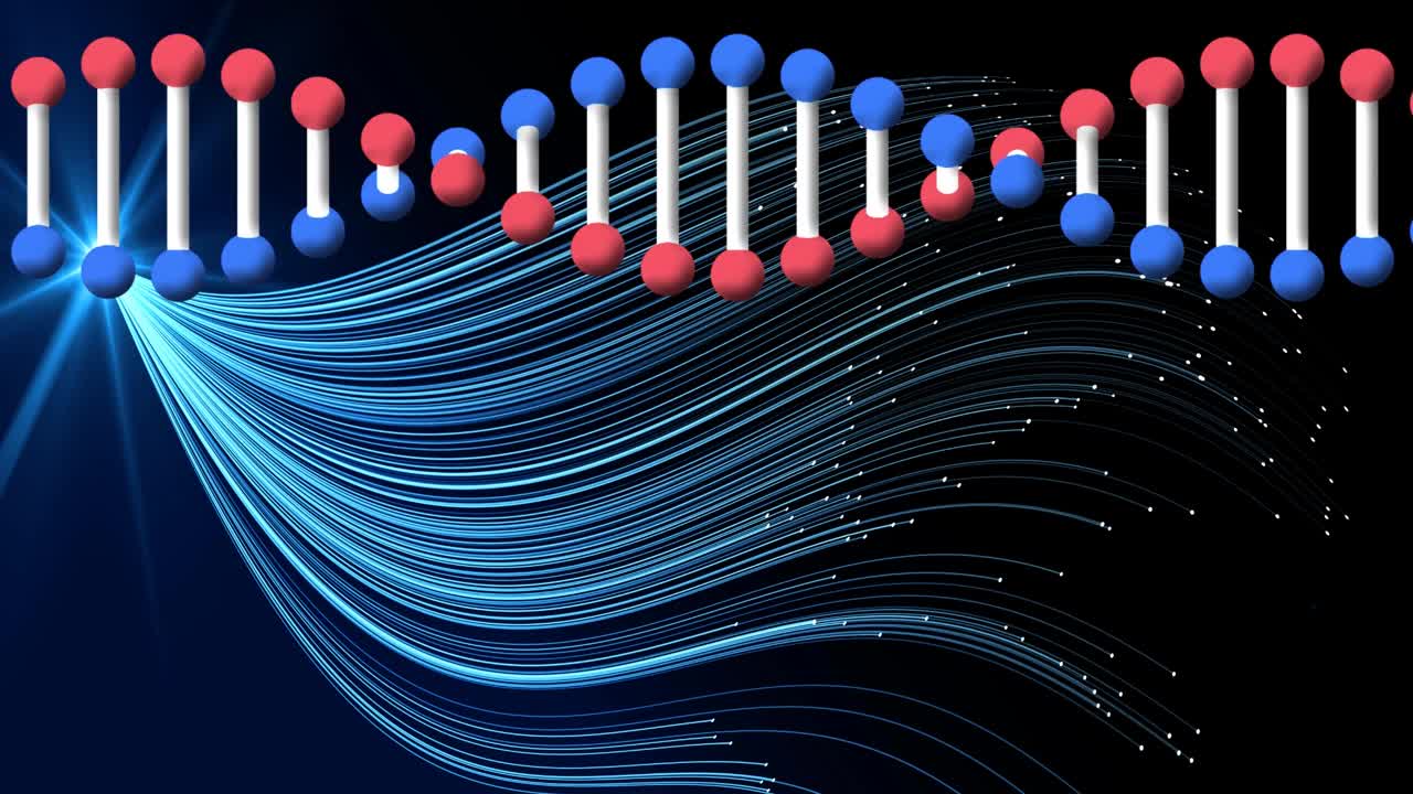 动画dna链和数字人类大脑的蓝色线在黑色的背景视频素材