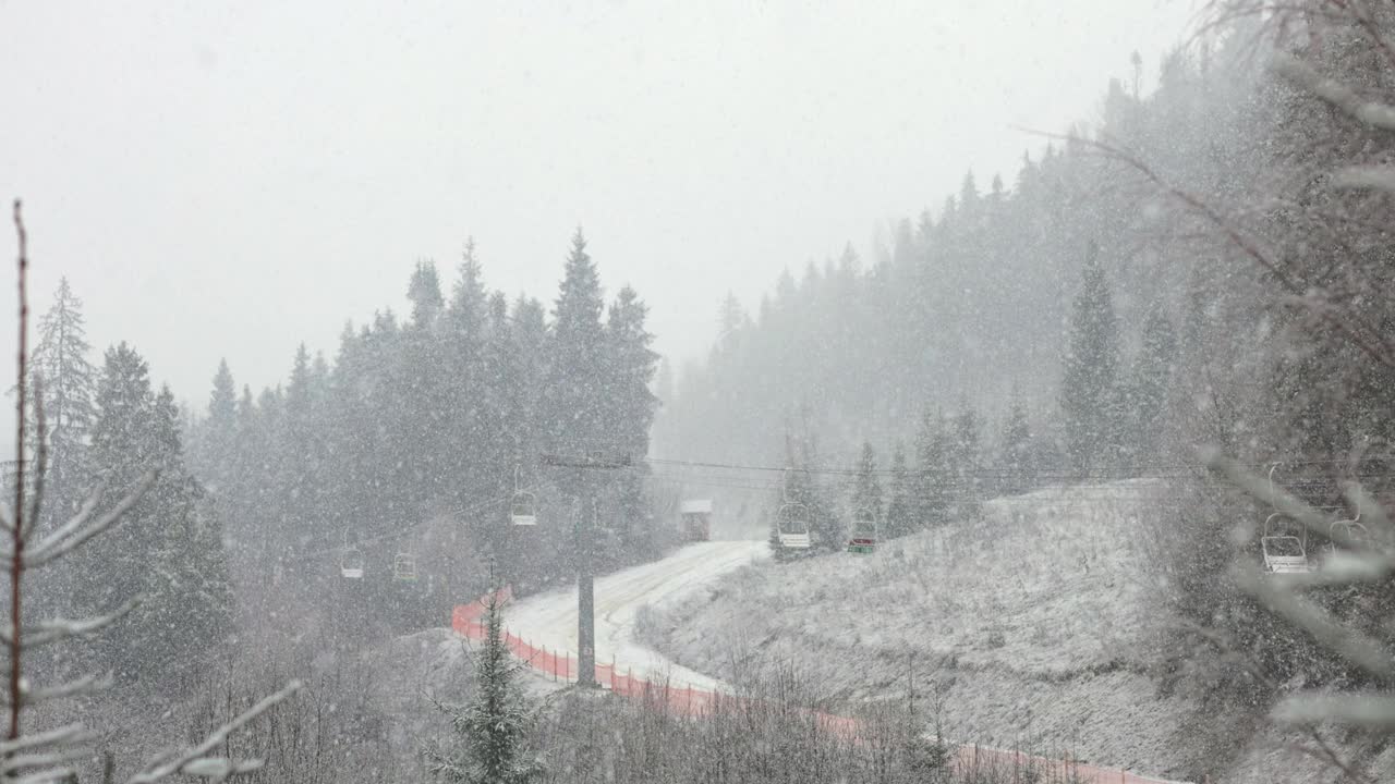 冬天的景色，雪松森林的景色和山上的滑雪缆索视频素材