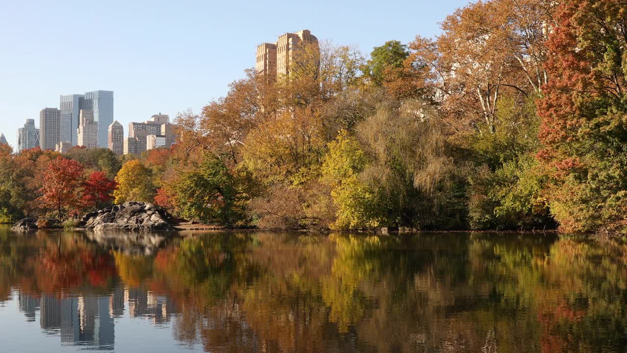 中央公园秋季湖景视频素材