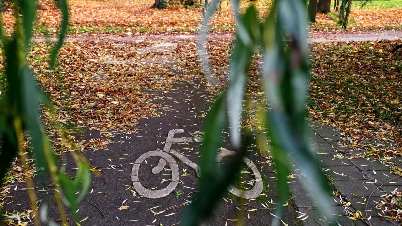 被忽视的城市自行车道路标记覆盖着黄色枯萎的秋叶视频素材