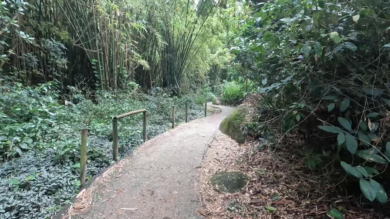 女子徒步前往旅游目的地视频素材