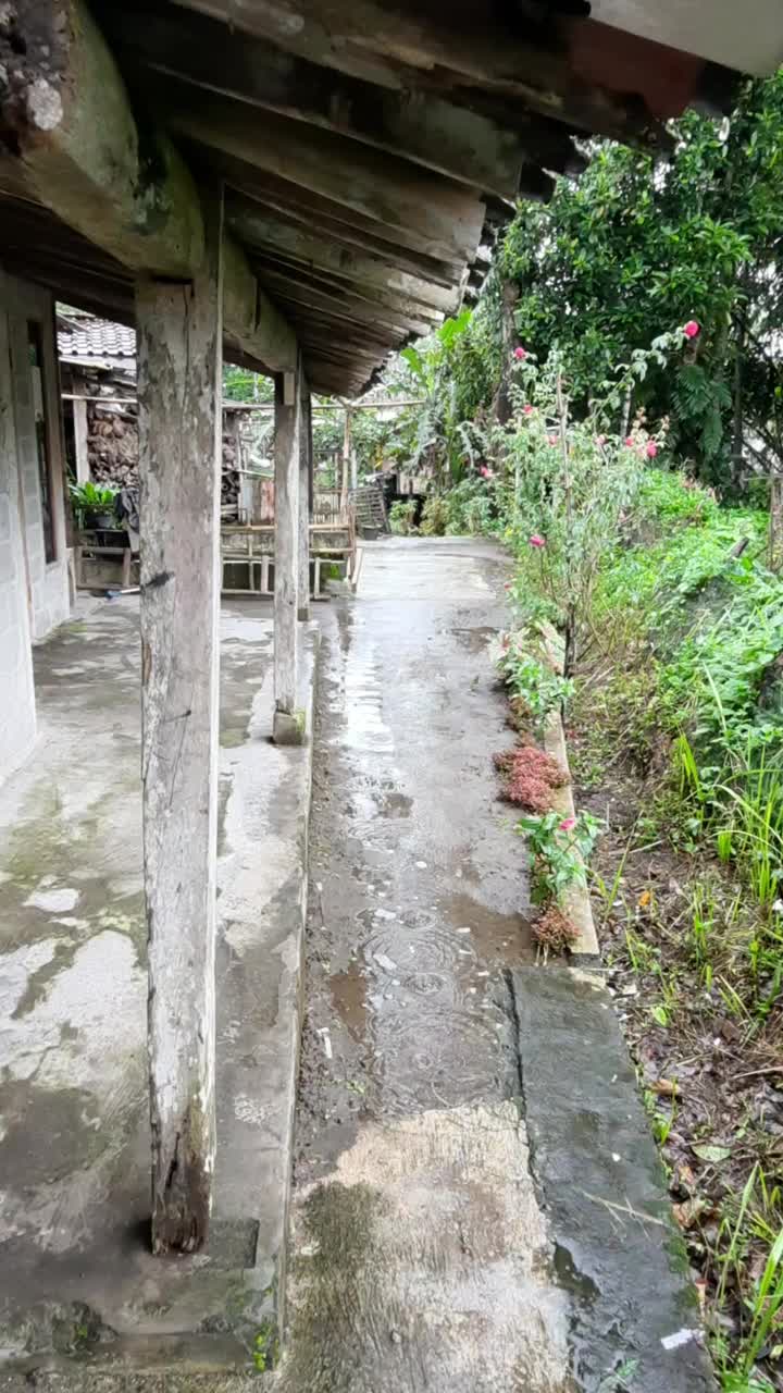 雨落在农村地区。视频素材