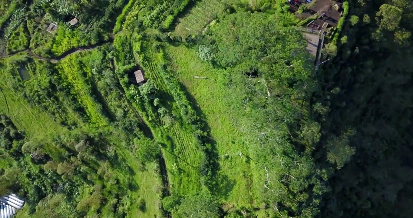 梯田风景/巴厘岛，印度尼西亚视频素材