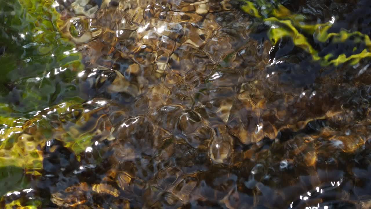 河流水面视频素材