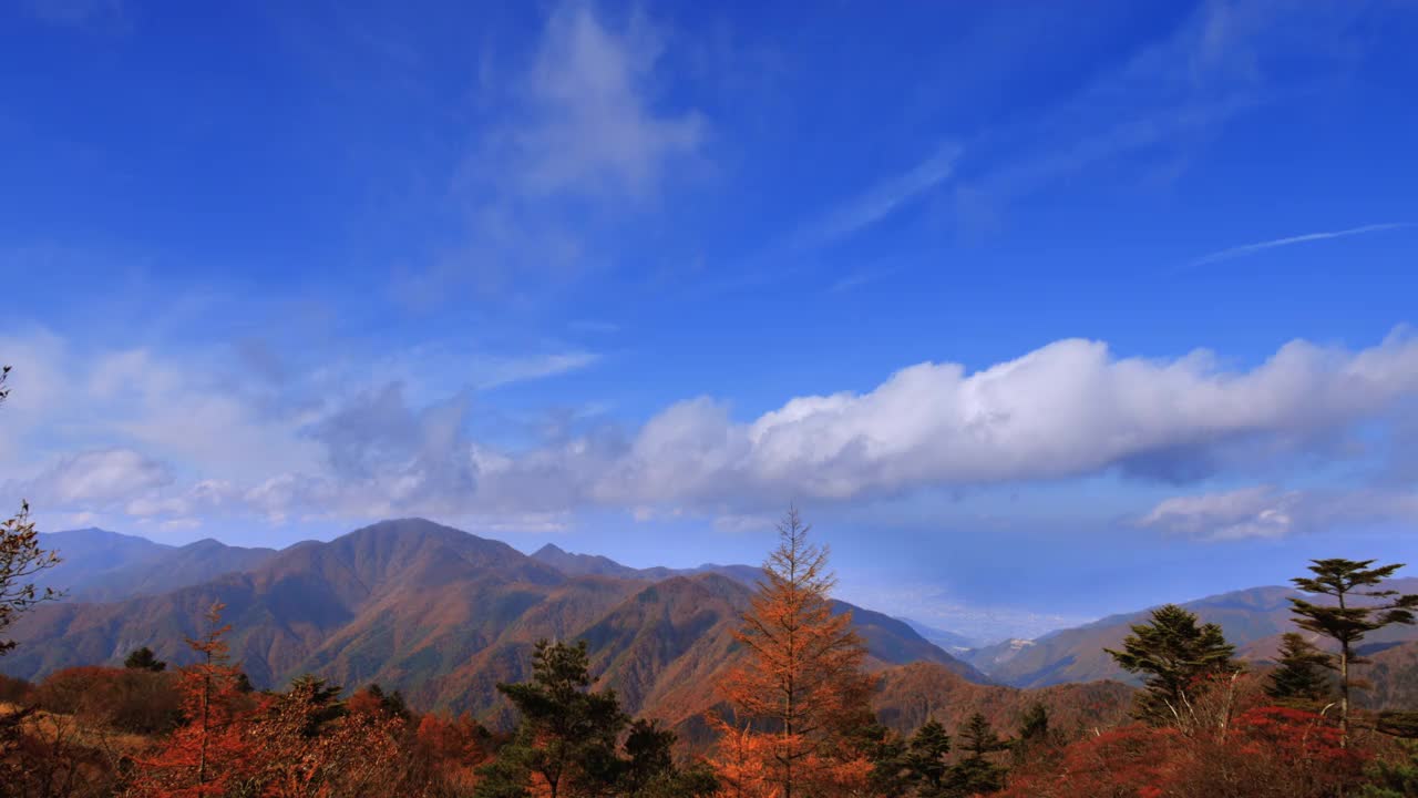 秋天的树和山上的山视频素材