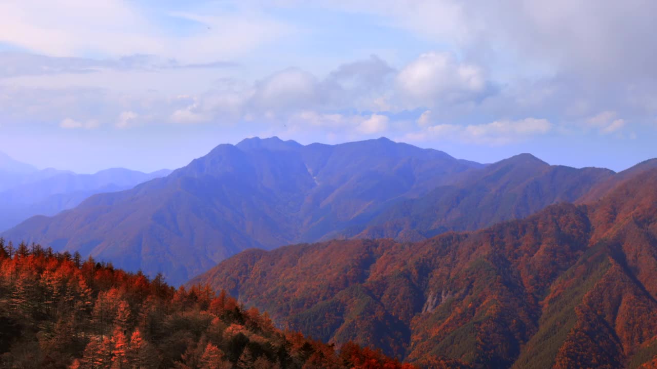 秋天的树和山上的山视频素材