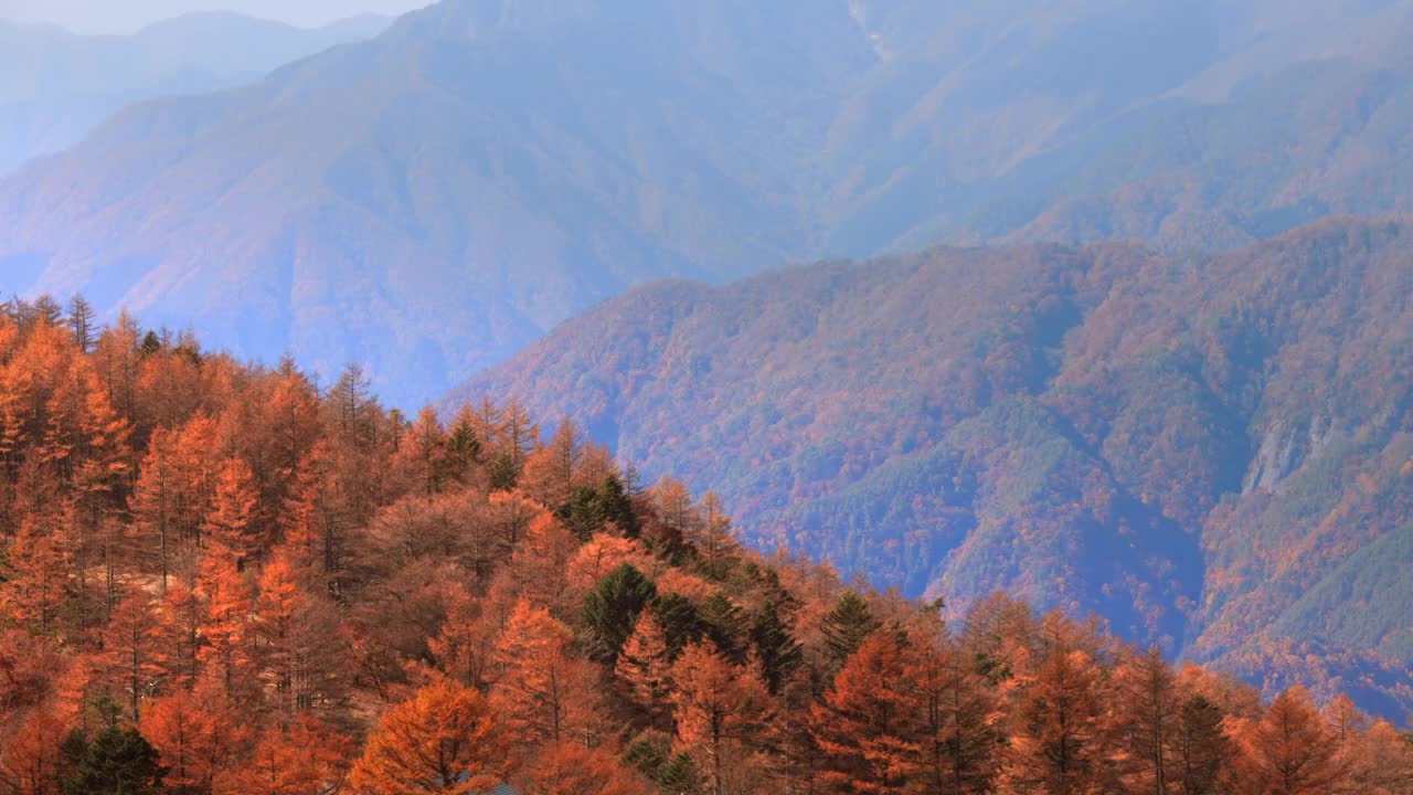 秋天的树和山上的山视频素材