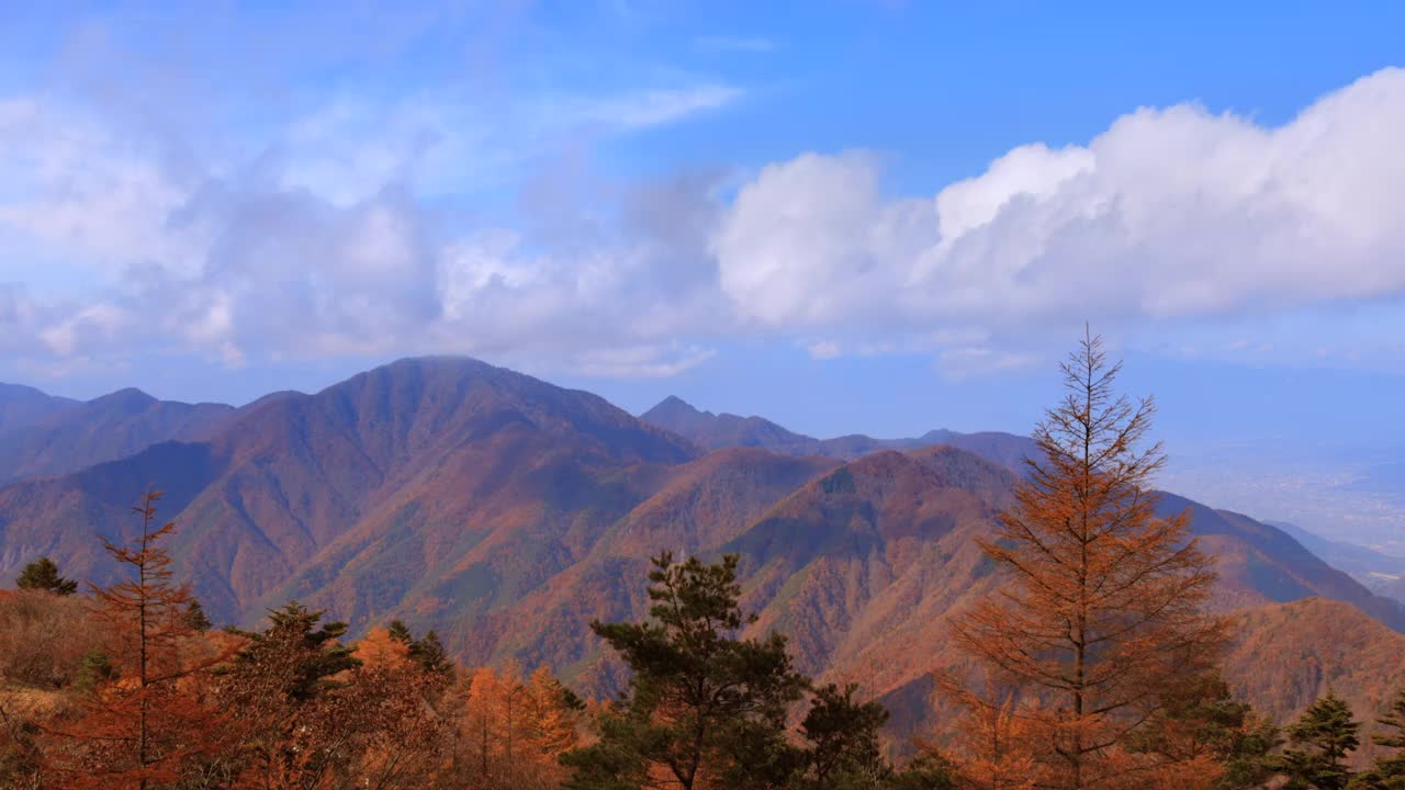 秋天的树和山上的山视频素材